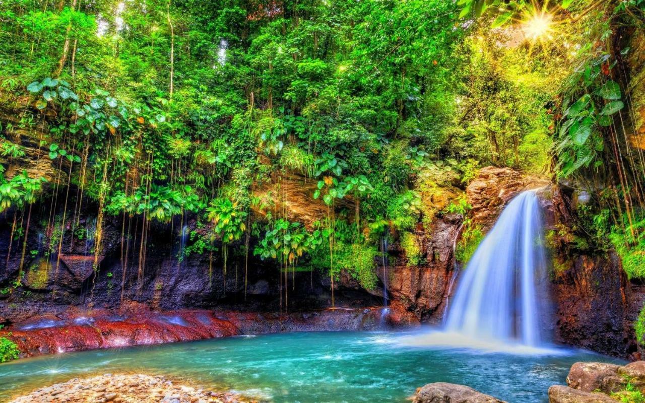 Lagon Kreol * Le Gosier (Grande-Terre)